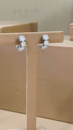Brinco Argola Decrescente Moissanite Prata 925