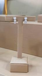 Brinco Argola Decrescente Moissanite Prata 925