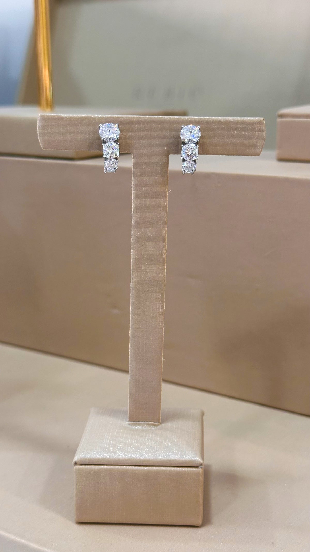 Brinco Argola Decrescente Moissanite Prata 925