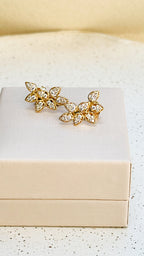 Brinco Earcuff Vika Prata 925