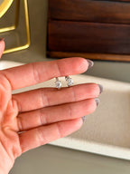 Brinco Argola Nick Moissanite Prata 925