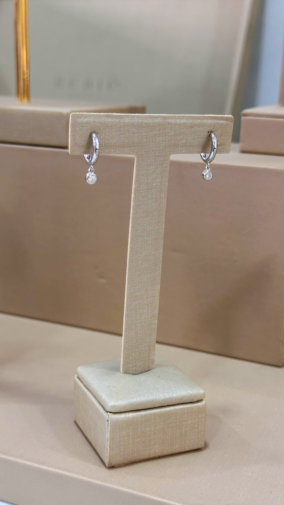 Brinco Argola Thay Moissanite Prata 925