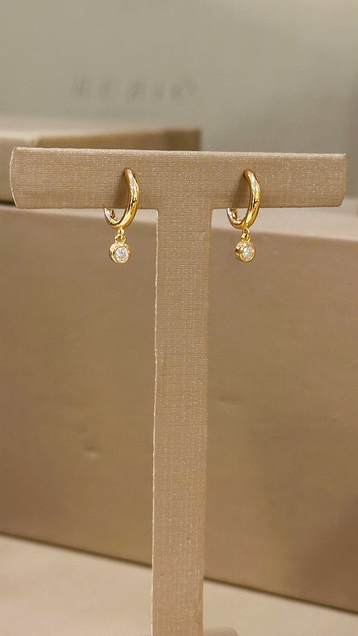 Brinco Argola Thay Moissanite Prata 925