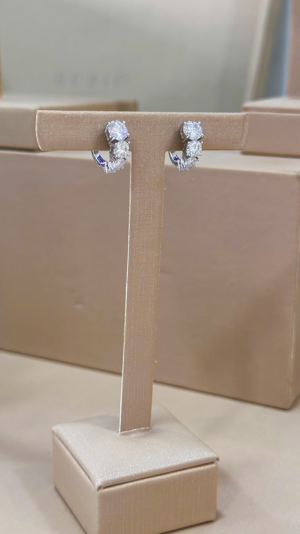 Brinco Argola Decrescente Moissanite Prata 925