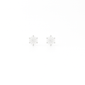 Brinco Esme Moissanite 5mm Prata 925