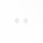 Brinco Esme Moissanite 5mm Prata 925