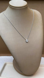 Colar Ivy Moissanite Prata 925
