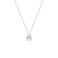 Colar Ivy Moissanite Prata 925