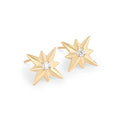 Brinco Estrela Moissanite Prata 925